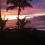 player piano customer 1