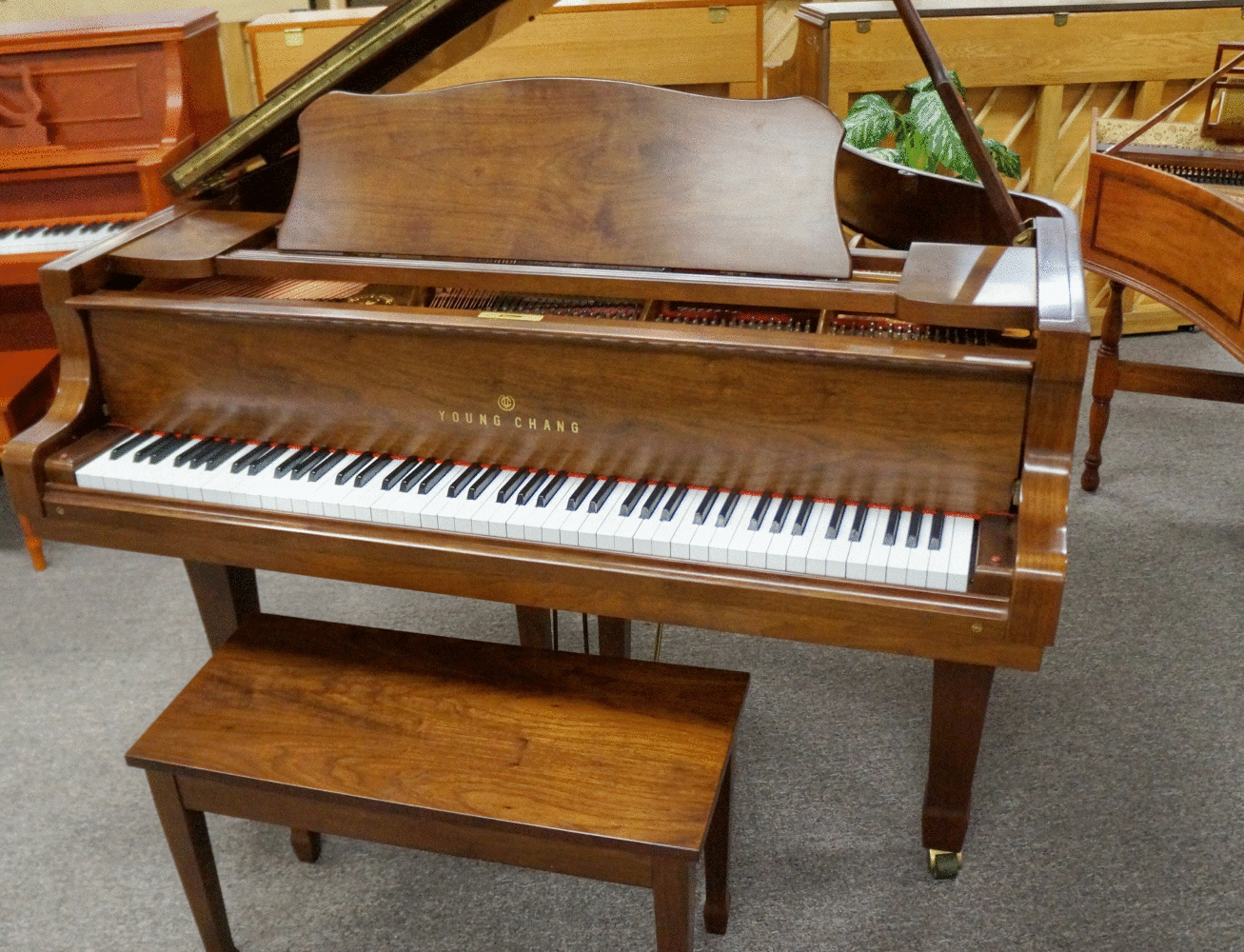 Young Chang Baby Grand front