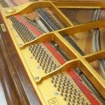 Young Chang Baby Grand open