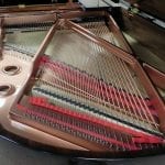 Schiller Concert 5.10 inner