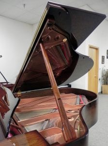 Schiller Concert 5.10 open