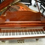 Schimmel Wilhelm African Mahogany keys