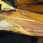 Yamaha C5 5380220 -inside