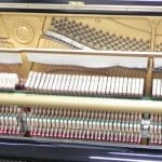 Yamaha U1 2331243 hammers