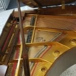 Weber 150 Walnut open