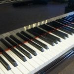 Yamaha C3 6105160 Grand Keys