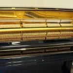 Yamaha U3 3296901 hammers