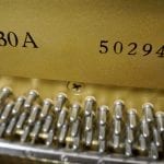 Yamaha U30A-5029463-model