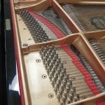 Yamaha C7 5870323 string